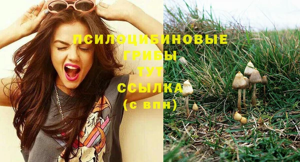 бошки Вязники