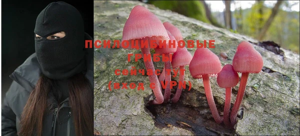 соль курить ск Горно-Алтайск