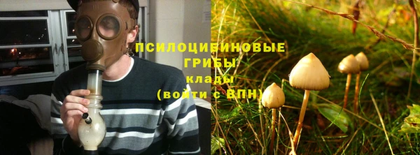 соль курить ск Горно-Алтайск