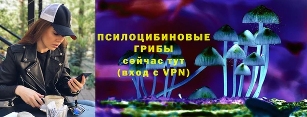 соль курить ск Горно-Алтайск